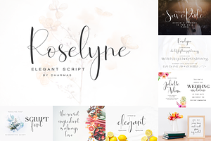 Best Wedding Bundle Font - 90% OFF