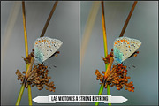 LAB Color Vol. 3 - Lab Variations, a Plug-in Add-On by Raztrend (Thumbnail 17 of 30)