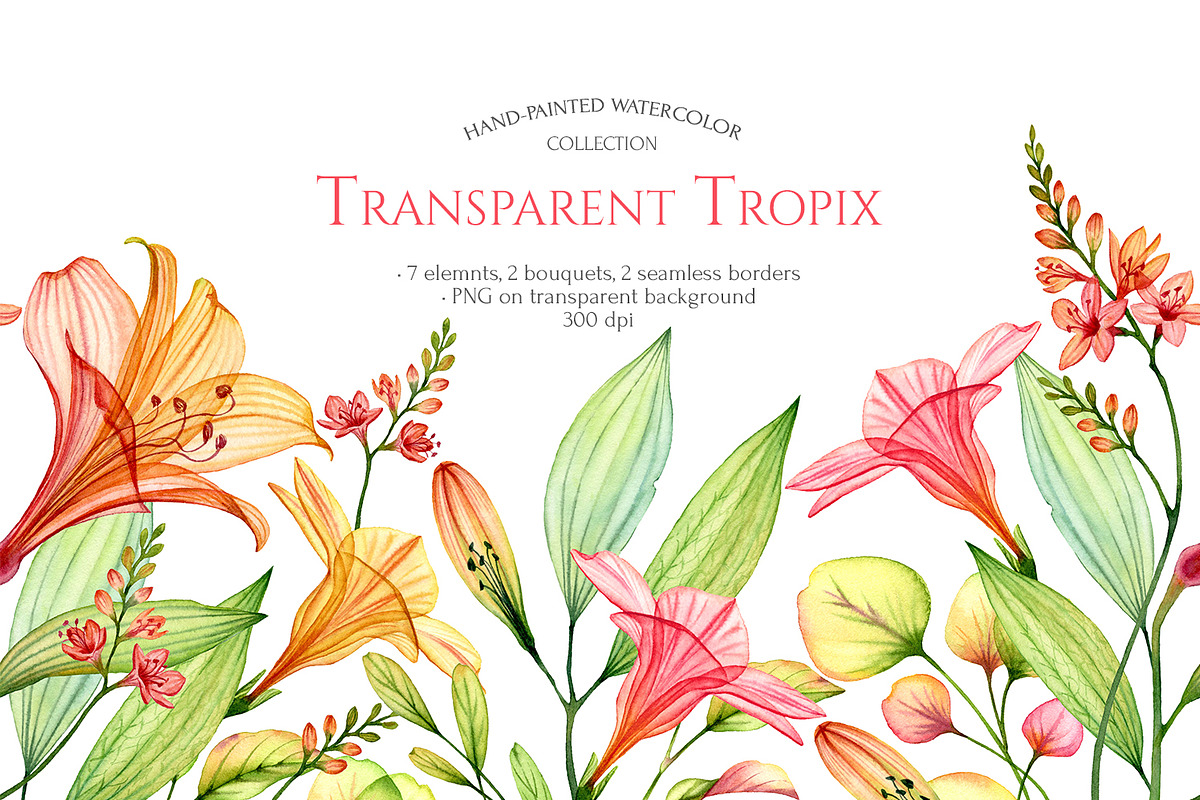 Watercolor Tropical Floral Set, a Decorative Illustration by Akvarelldesign (Photo 1 of 3)