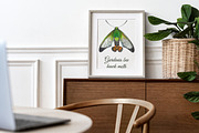 Australian Moths hand painted, an Animal Illustration by FITALARTSNEDIGI (Thumbnail 6 of 8)