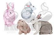 Watercolor Easter Clipart. Rabbit, an Animal Illustration by NKTKNS (Thumbnail 3 of 4)
