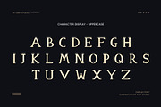 Qlika Script Font, a Serif Font by gitasetstudio (Thumbnail 3 of 6)