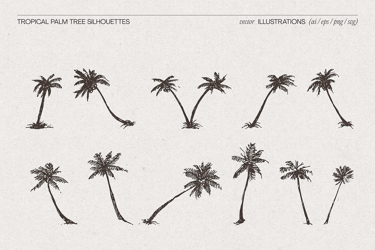 Tropical Palm Tree Silhouettes, an Object Illustration by TheMountBirdStudio (Photo 4 of 6)