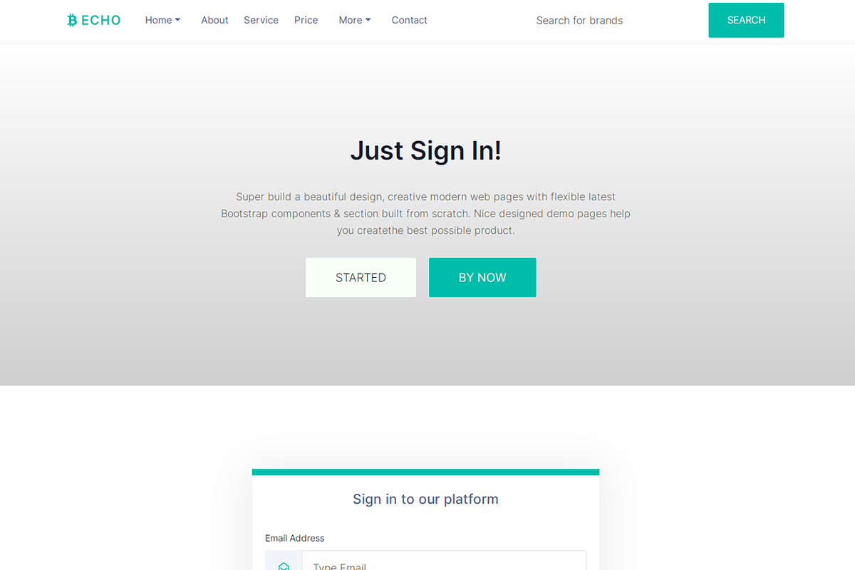 Echo - Multipurpose HTML Template, a HTML Template by Design Collection (Photo 8 of 9)