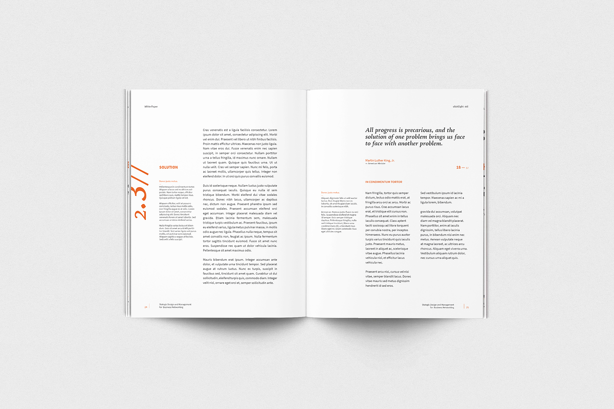 White Paper, a Brochure Template by silukEight (Photo 9 of 19)
