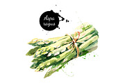 Watercolor Fruits & Vegetables Set, a Food Illustration by Elena Pimonova (Thumbnail 2 of 4)