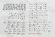 Special Bouquet | A Flourish Font, a Script Font by Colllab Studio (Thumbnail 16 of 19)