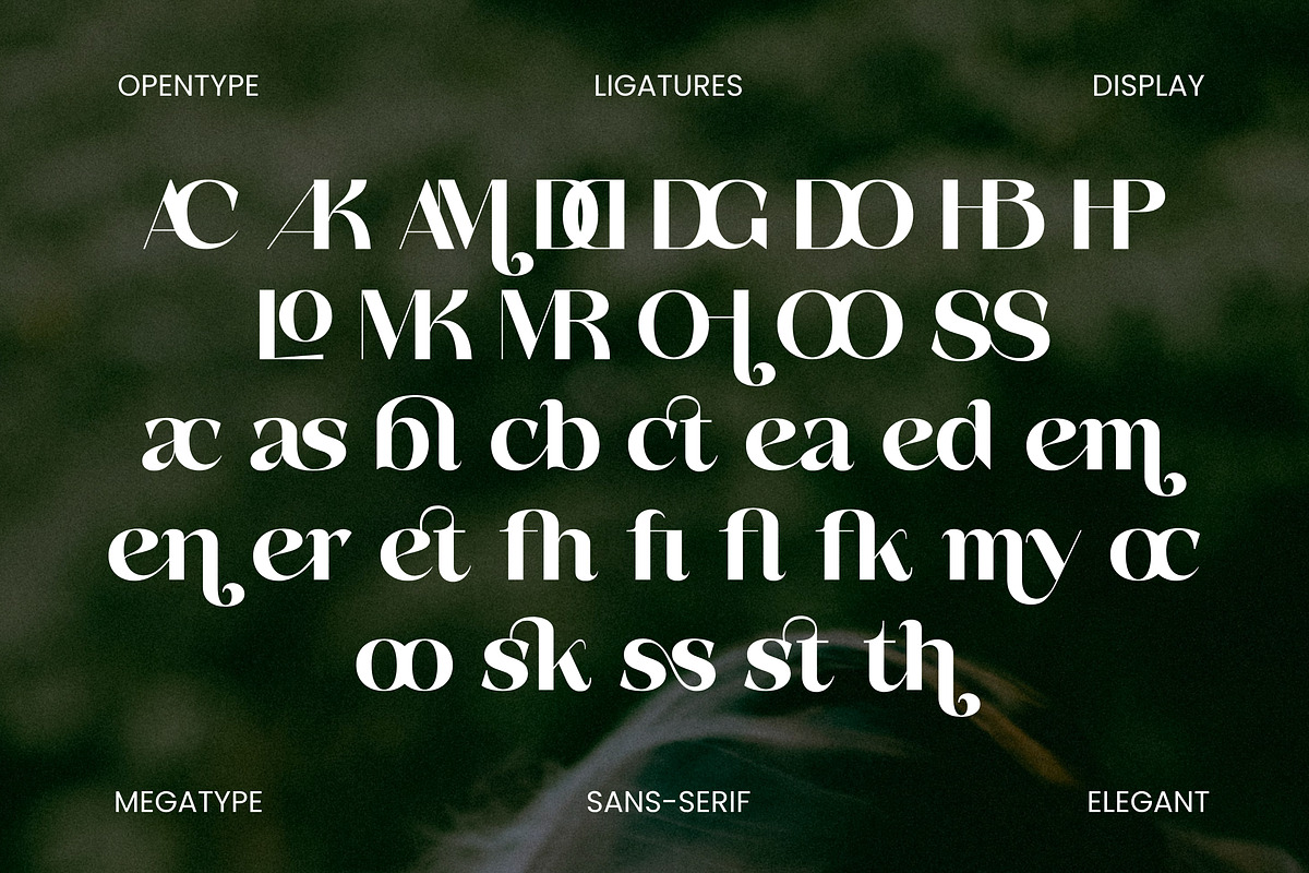 Basken Typeface, a Sans Serif Font by Megatype (Photo 10 of 11)