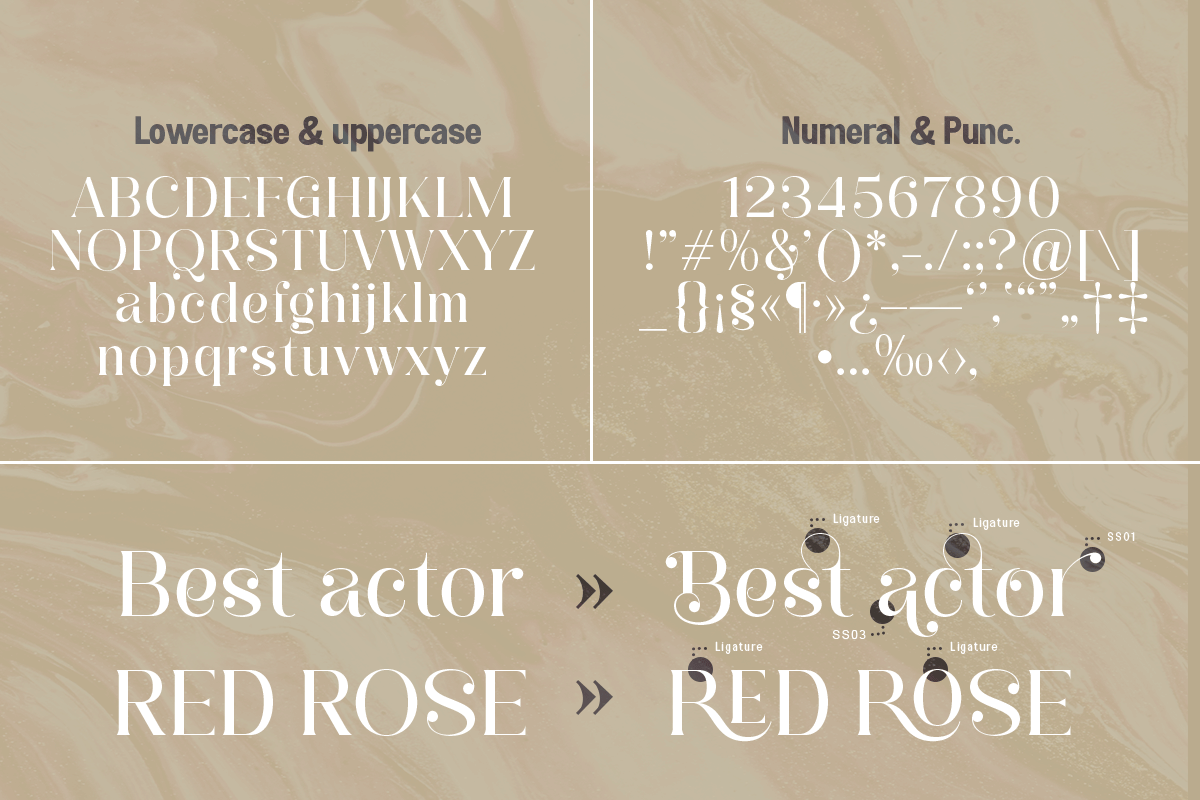 Sejen, a Serif Font by Differentialtype (Photo 6 of 7)