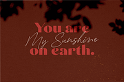 Carneys Gallery Font Duo, a Sans Serif Font by Letteralle Studios (Thumbnail 6 of 16)