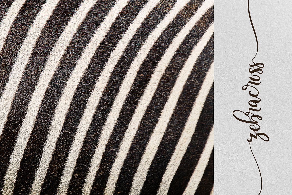 Melloner Fonts preview 8