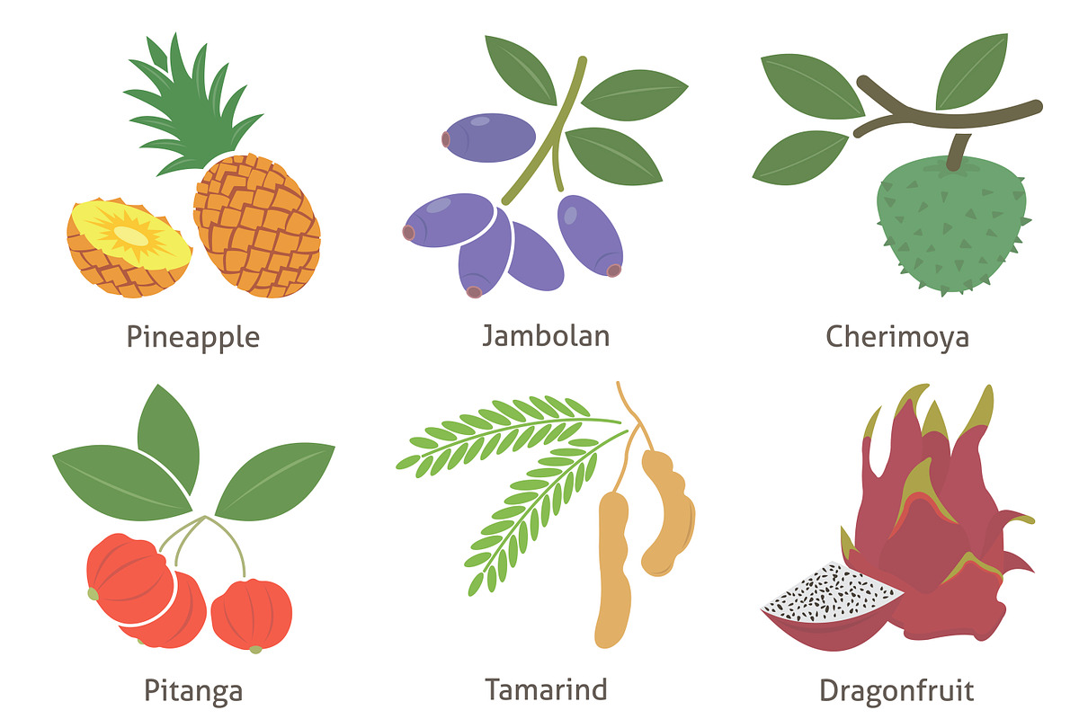 Fruit and berries preview 5