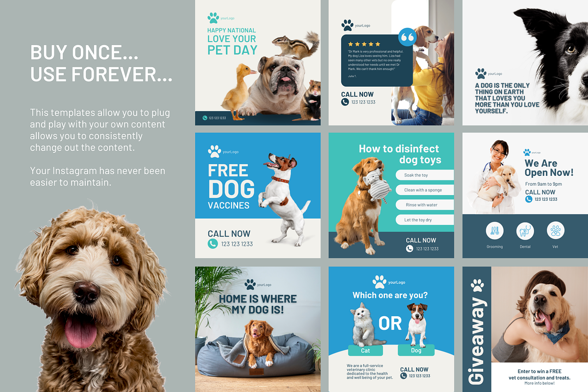 Cardiff Vets4pets Register Price List Vets For Pets Offers Vets