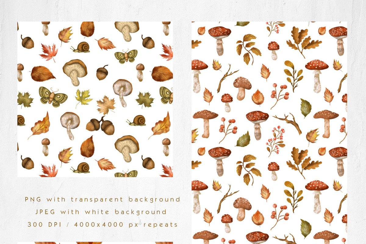 Fall sweet fall leaves illustration, a Seasonal Illustration by Yelloo Fish (Photo 13 of 15)