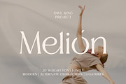 Melion, a Serif Font by OWL KING (Thumbnail 1 of 13)