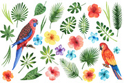 Tropical flowers and leaves., a Decorative Illustration by Elena Medvedeva (Thumbnail 2 of 8)