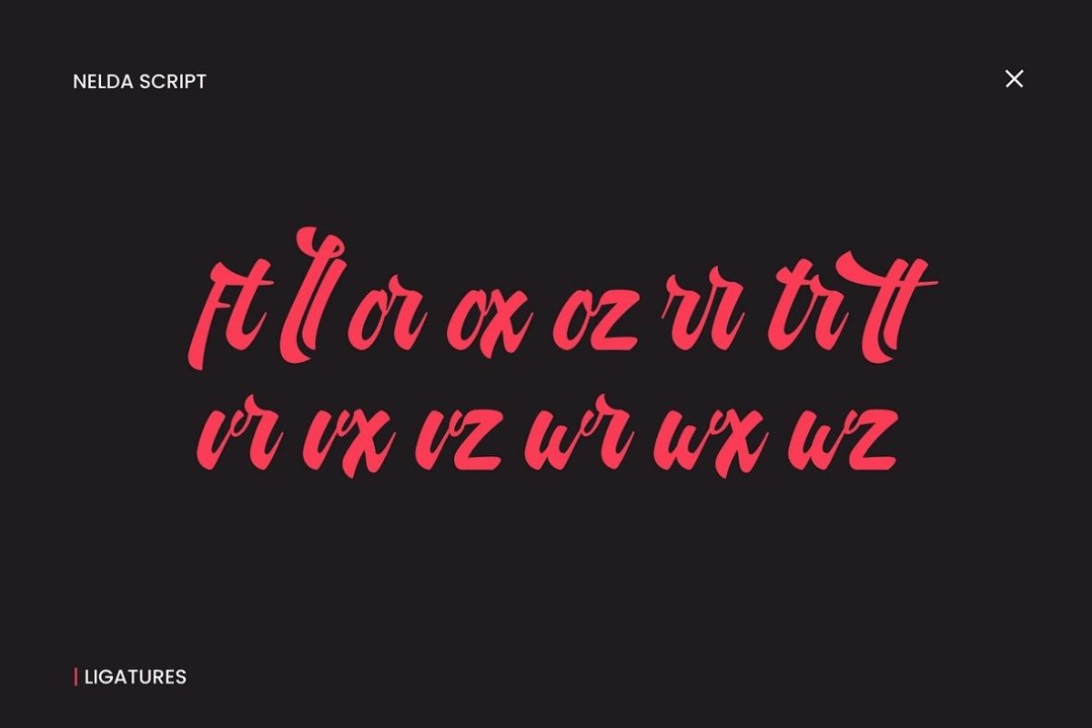 Nelda Logotype, a Script Font by ShowUp! Studio (Photo 12 of 12)