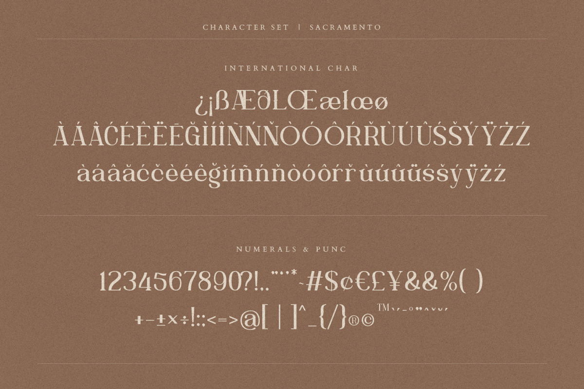 Sacramento Modern Ligature Serif, a Serif Font by Creatype Studio (Photo 9 of 9)