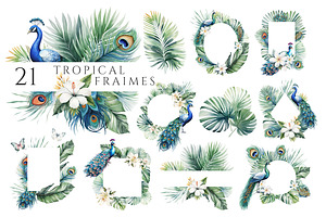 Tropical Floral And Peacocks