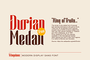 Wingstone, a Sans Serif Font by Omotu Studio (Thumbnail 3 of 12)