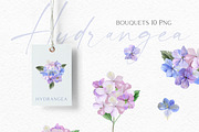 Watercolor Hydrangea Garden Set, an Illustration by Olga Koelsch (Thumbnail 8 of 13)