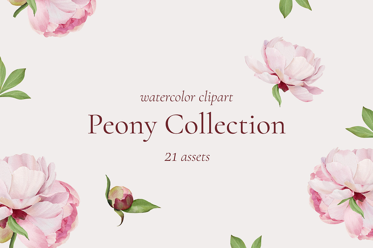 -30% Watercolor Peony Collection, an Object Illustration by bloomscape (Photo 1 of 10)