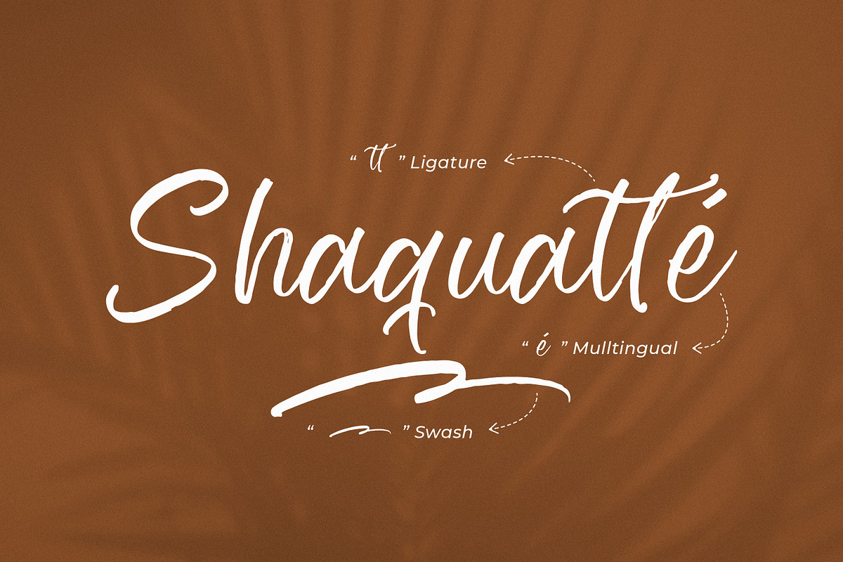 Zeyatte Kareety, a Script Font by Integritype Studio (Photo 14 of 15)