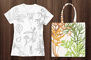 Botanical Line Art Bundle, an Illustration by Graphic Cook (Thumbnail 6 of 8)