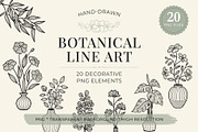 Botanical Line Art PNG Bundle, a Decorative Illustration by shielscreations (Thumbnail 1 of 5)