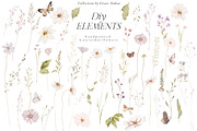 Watercolor wildflowers floral set, a Decorative Illustration by Grace Noboa Illustrations (Thumbnail 8 of 14)