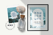 Ocean Botanica, an Animal Illustration by KetteCreate (Thumbnail 2 of 13)