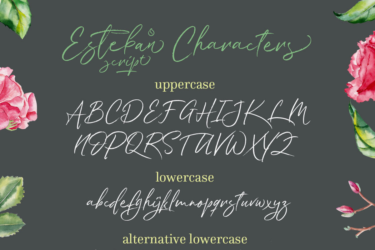 Esteban Script, a Script Font by JROH Creative (Photo 10 of 11)