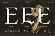 Agilera - Stylish Ligature Font, a Serif Font by Asenbayu (Thumbnail 9 of 15)