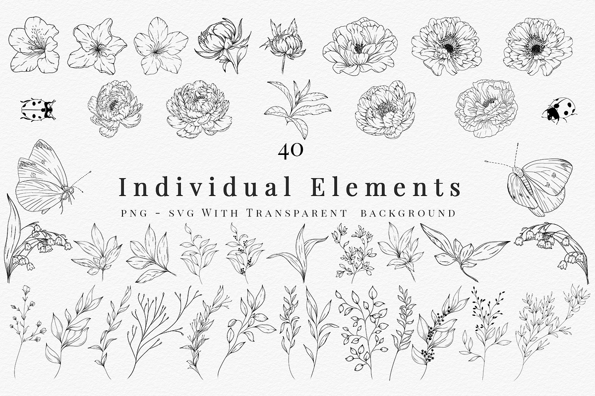 Botanical Line Art SVG & PNG Bundle, a Decorative Illustration by AW Studios (Photo 2 of 7)