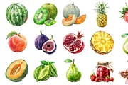 Watercolor Pastel Fruit Clipart, an Illustration by Design Market (Thumbnail 2 of 3)