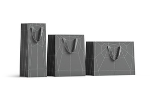 White Paper Gift Bag 3 Type 3D Model