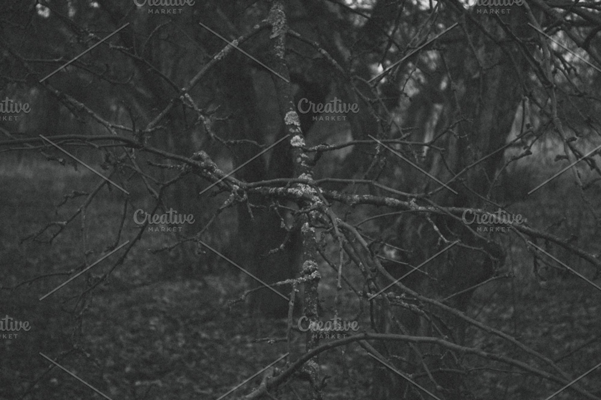 Mood collection, a Photo by Alekseyliss (Photo 6 of 21)