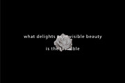 Graceful Font, a Sans Serif Font by denisgorelkin (Thumbnail 5 of 9)