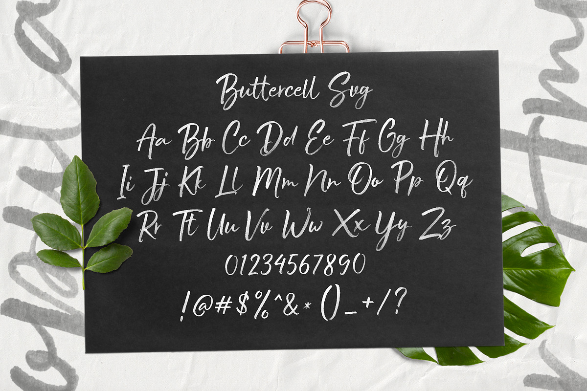 Buttercell SVG Brush Font, a Script Font by Wacaksara Co. (Photo 11 of 12)