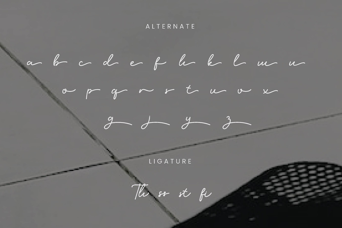 Ilyra - Modern Calligraphy Script Fo, a Script Font by Flawless And Co (Photo 10 of 10)