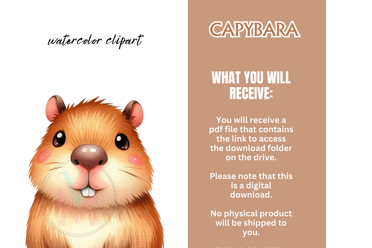 Cute Capybara PNG 35Funny Clipart, an Animal Illustration by VM PARTYS  BY TAIRUMA (Photo 10 of 10)