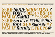 Epicus - Serif font family, a Font by Artistic & Unique (Thumbnail 6 of 14)