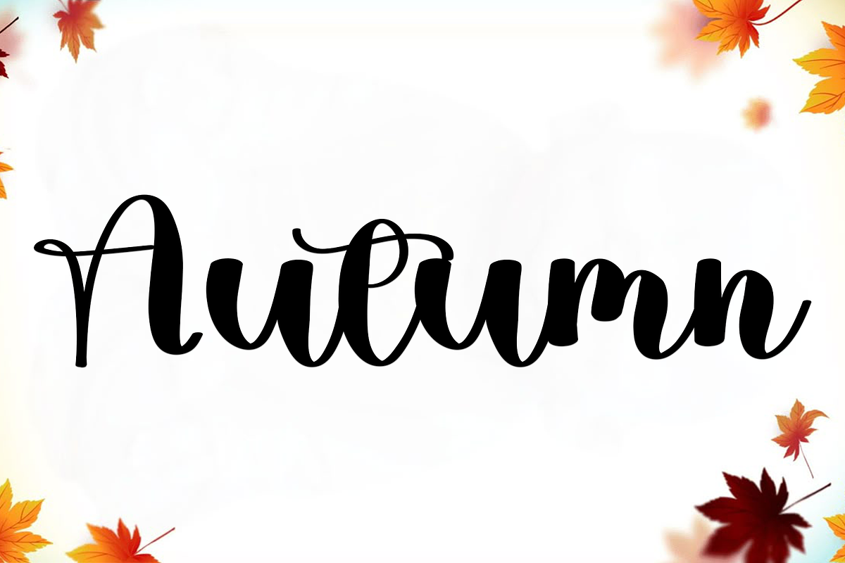 Delighter, a Handwritten Font by InermediaSTUDIO (Photo 2 of 8)