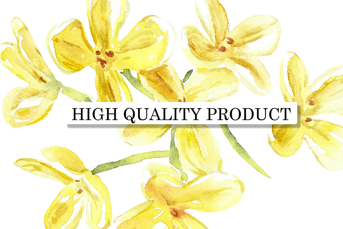 Golden Osmanthus Health Tea, a Food Illustration by Budogoshch (Photo 6 of 8)