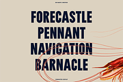 Nautic Grotesk - Modern Display Font, a Sans Serif Font by Bnick (Thumbnail 4 of 12)