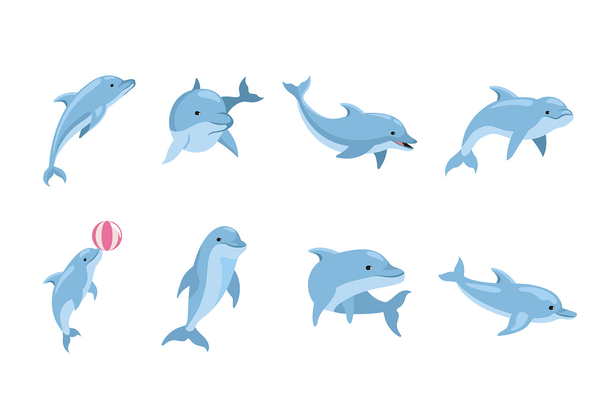 Dolphin Animal Illustration Set