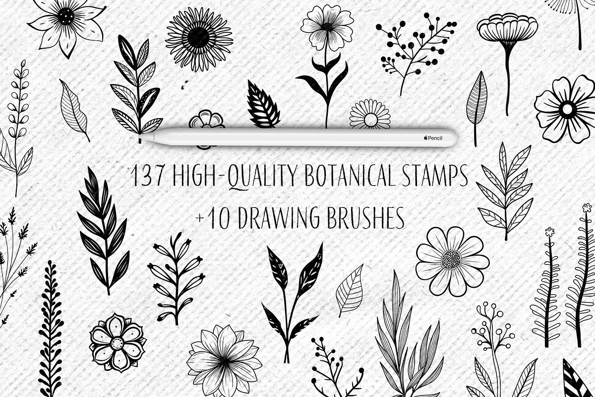 137 Botanical Stamps For Procreate, a Brush Add-On by Nuclear Brushes (Photo 2 of 10)