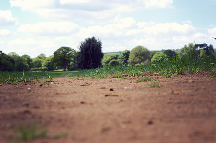 Drought Stock Photo Containing Drought And Environment preview 6