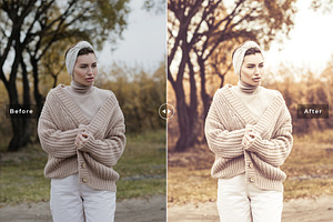 Grullo Tones Pro Lightroom Presets