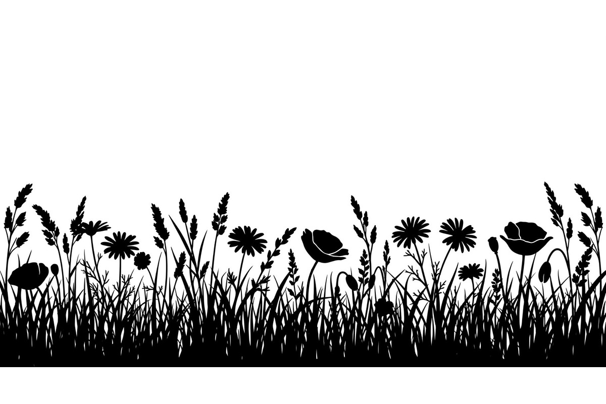 Floral Grass Border Silhouette Bundl, an Illustration by Amazin_art (Photo 13 of 51)